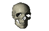 spinning skull